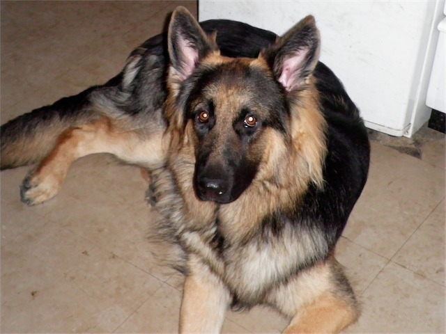 SANY0007.JPG